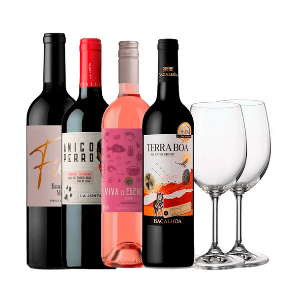 Kit 4 Vinhos Exclusivos + 2 Taças