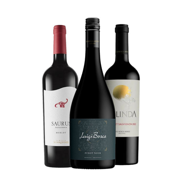 Kit 3 Vinhos Argentinos Tintos