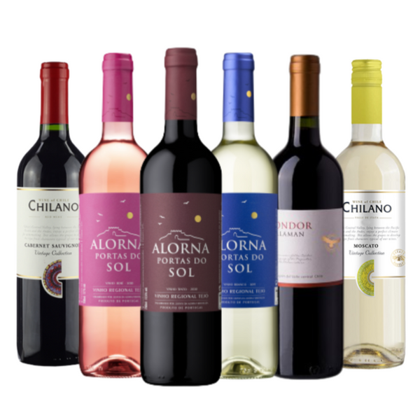 Kit Vinhos 6 Garrafas Especial