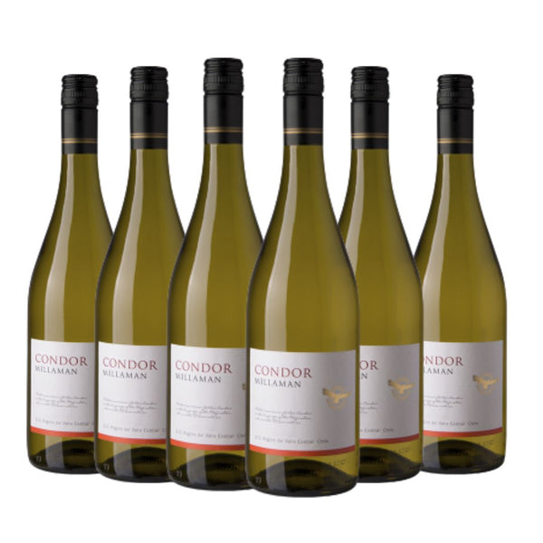 Kit Vinhos Condor Chardonnay 6 garrafas