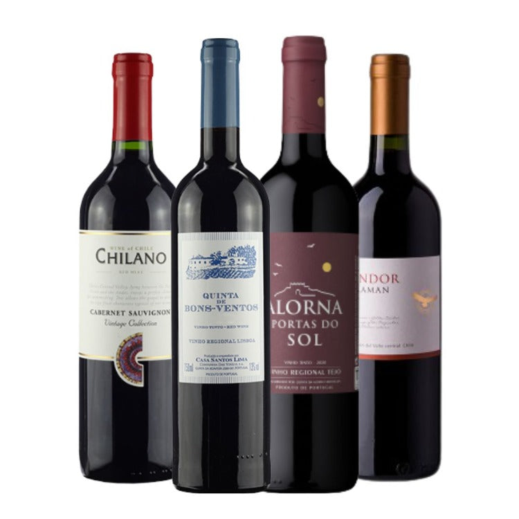 Kit Vinhos Tintos 4 garrafas