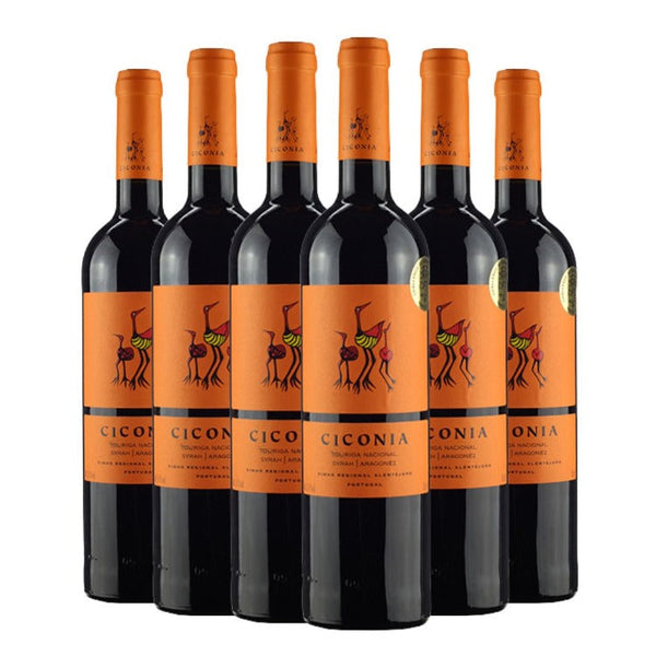 Kit Vinhos Ciconia Tinto 6 Garrafas