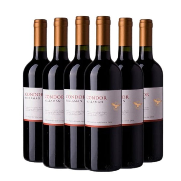 Kit Vinhos Condor Cabernet Sauvignon 6 garrafas