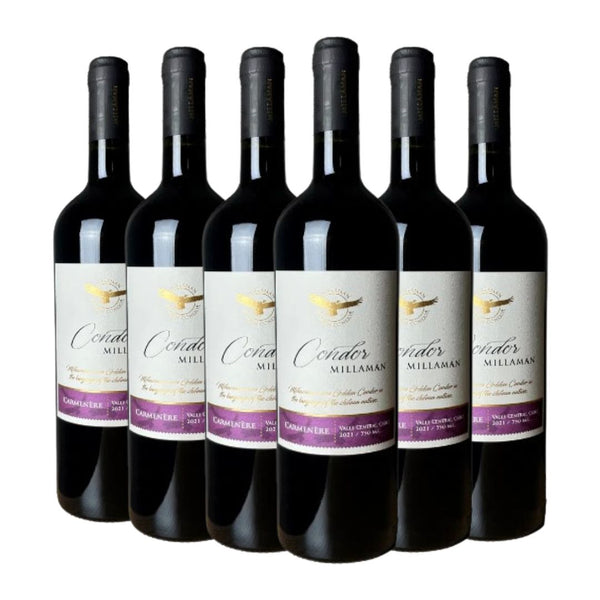 Kit Vinhos Condor Caménère 6 garrafas