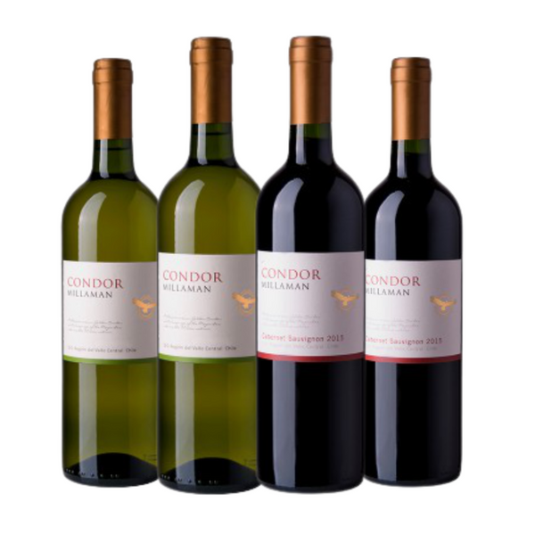 Kit Vinhos 4 garrafas Condor Millaman