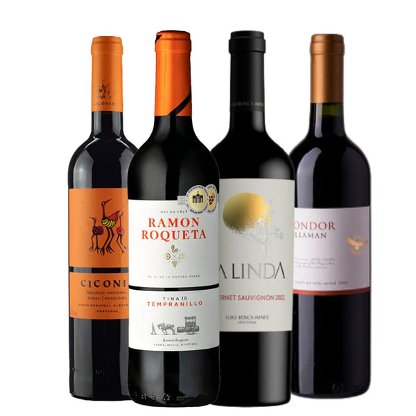 Kit Vinhos  Para Iniciantes - Compre e Ganhe o Curso Básico sobre Vinhos - Primeiros Passos