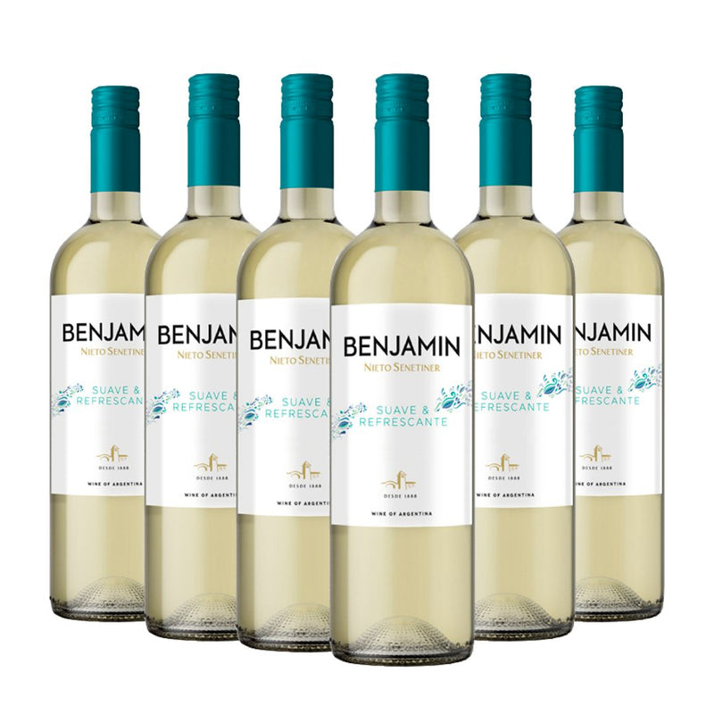 Kit Vinho Benjamin Suave Refrescante Torrontés