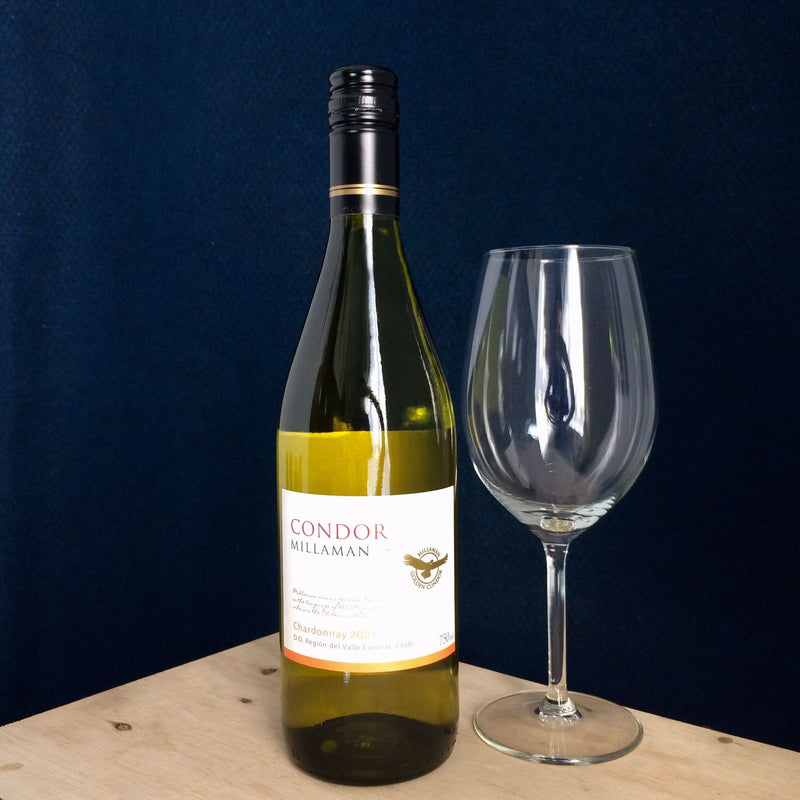 Kit Vinhos Condor Chardonnay 6 garrafas