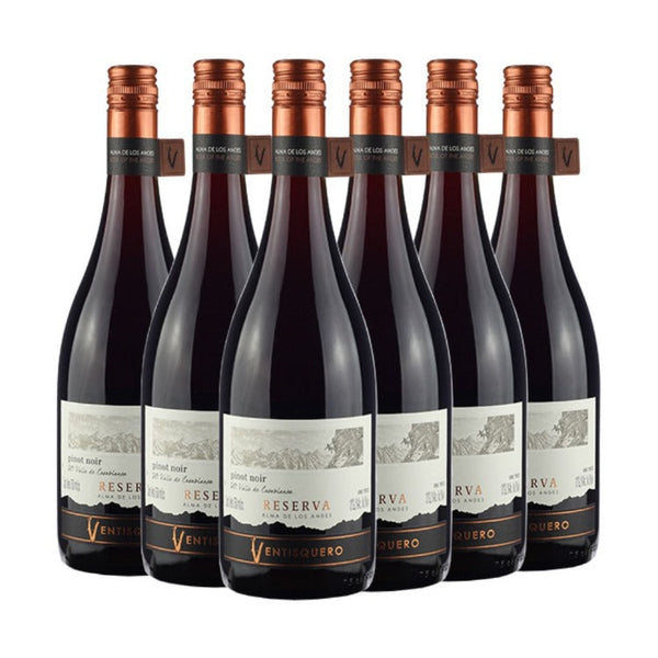 Kit Vinhos Pinot Noir Ventisquero Reserva 6 garrafas