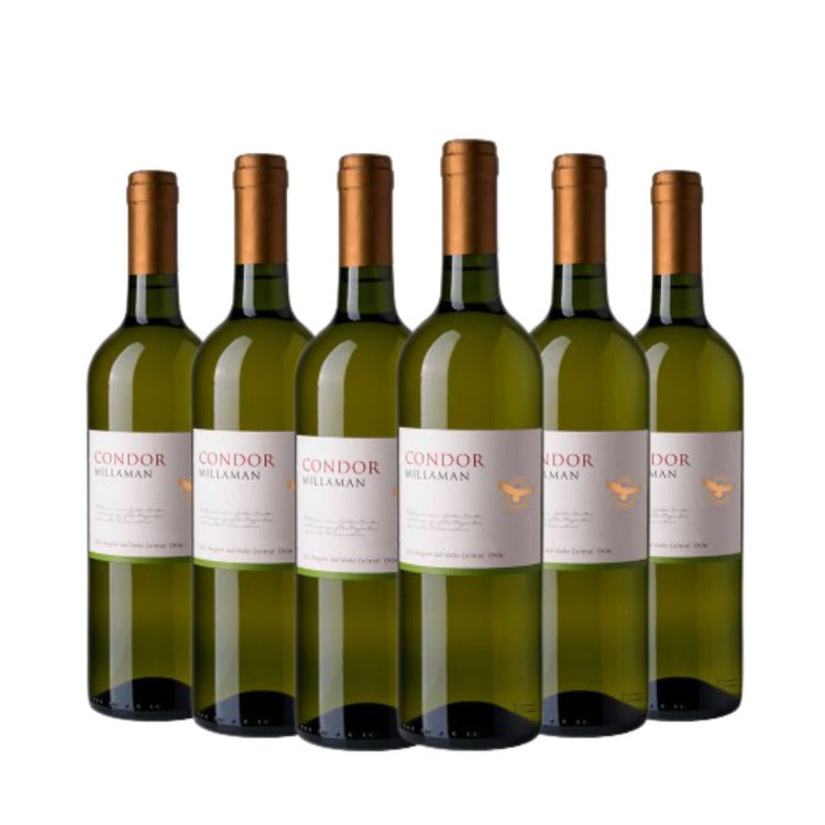 Kit Vinhos Condor Sauvignon Blanc 6 garrafas