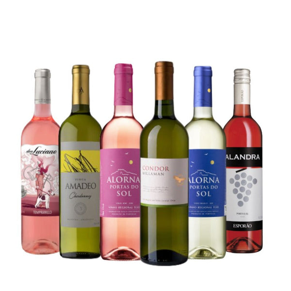 Kit Vinhos  Brancos e Rosés 6 garrafas