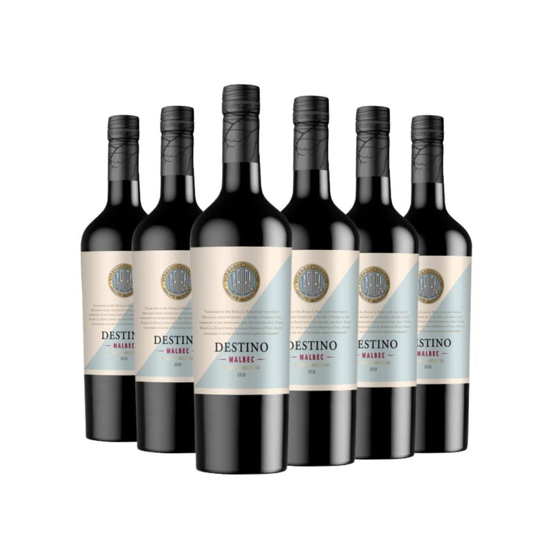 Kit Vinho Destino Malbec