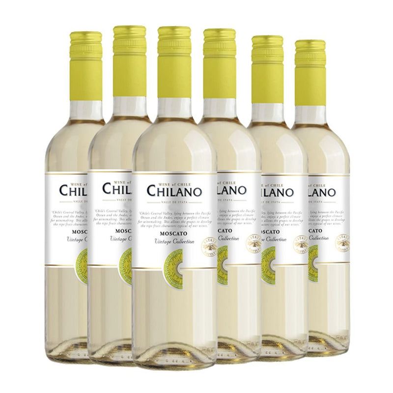 Kit Vinhos Chilano 6 Garrafas Tinto & Branco